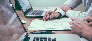 Entity Structure Planning